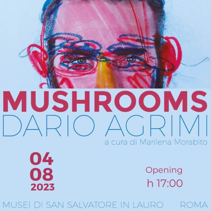 Mushrooms Dario Agrimi