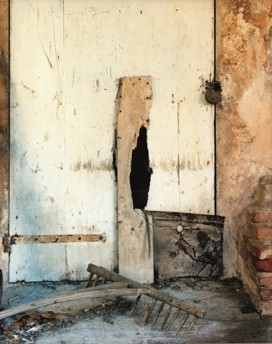 Guido Guidi