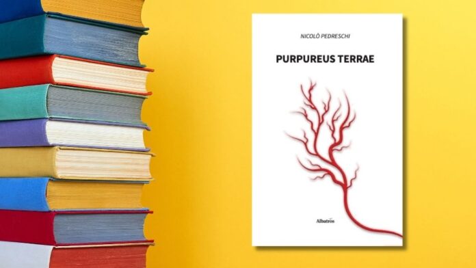 Elaborazione grafica del romanzo di Nicolò Pedreschi, Purpureus Terrae, Albatros