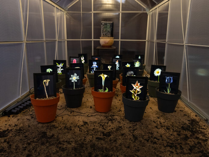 Installation view Fioriture Sintetiche
