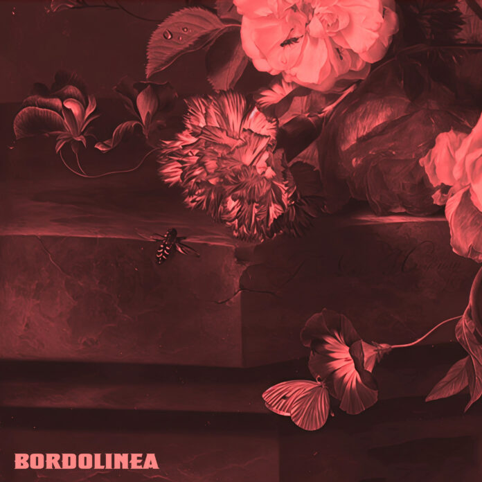 La copertina di BORDOLINEA